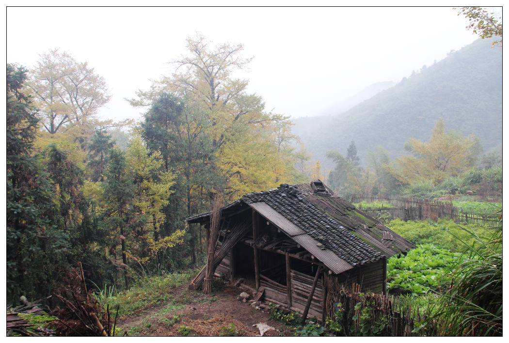 ��Ƭ 280_nEO_IMG.jpg