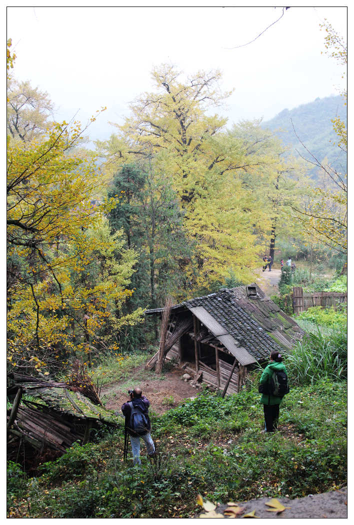 ��Ƭ 281_nEO_IMG.jpg