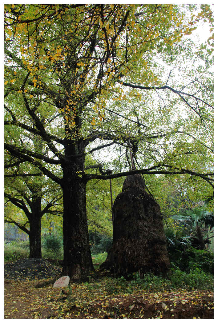 ��Ƭ 288_nEO_IMG.jpg