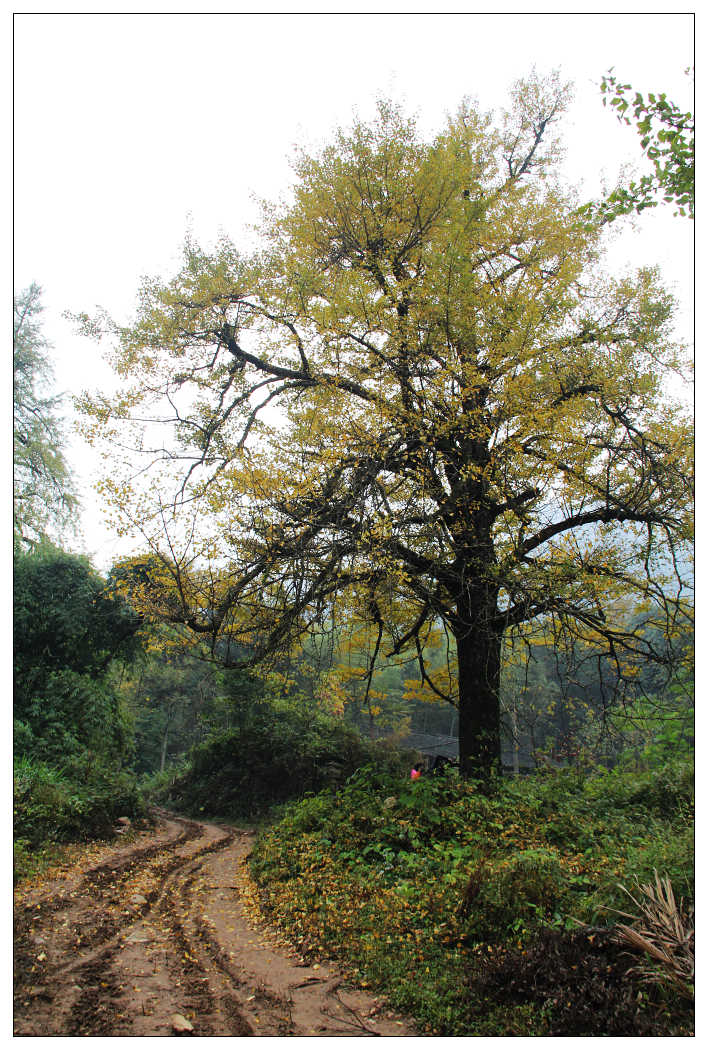 ��Ƭ 294_nEO_IMG.jpg