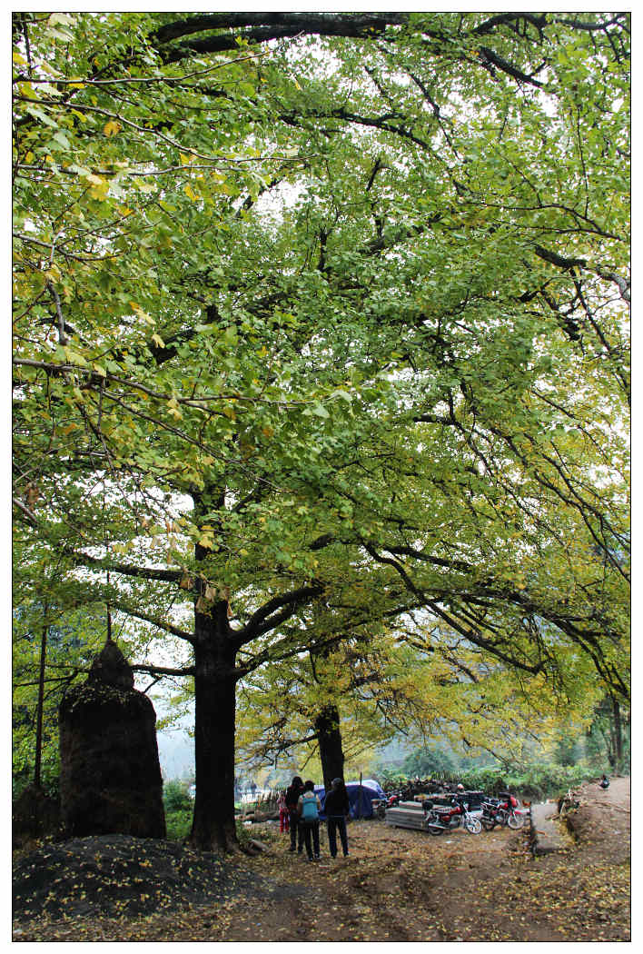 ��Ƭ 297_nEO_IMG.jpg