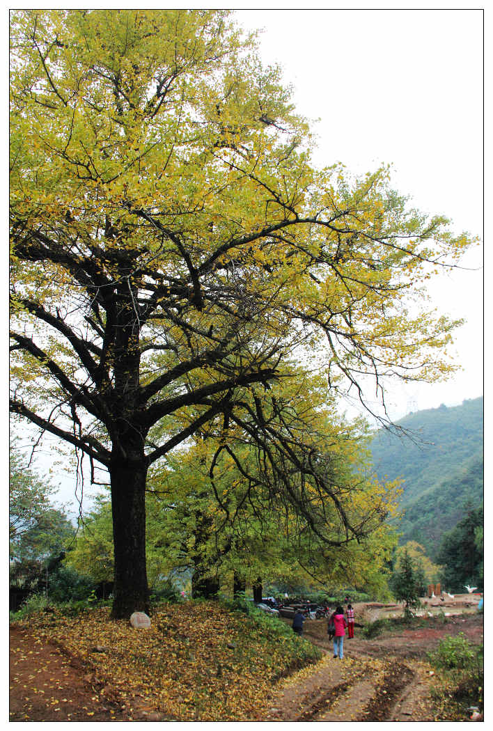 ��Ƭ 308_nEO_IMG.jpg