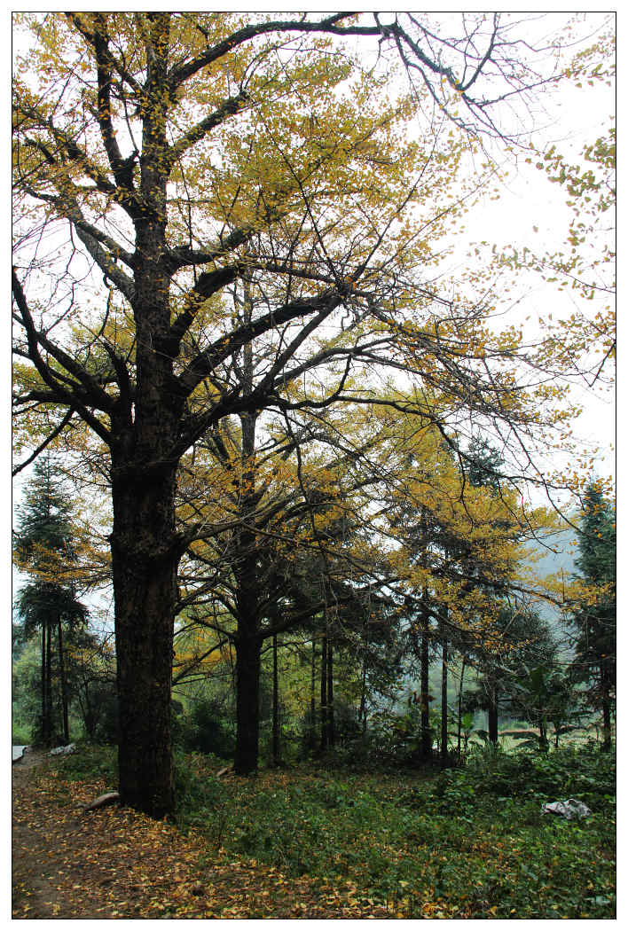 ��Ƭ 328_nEO_IMG.jpg