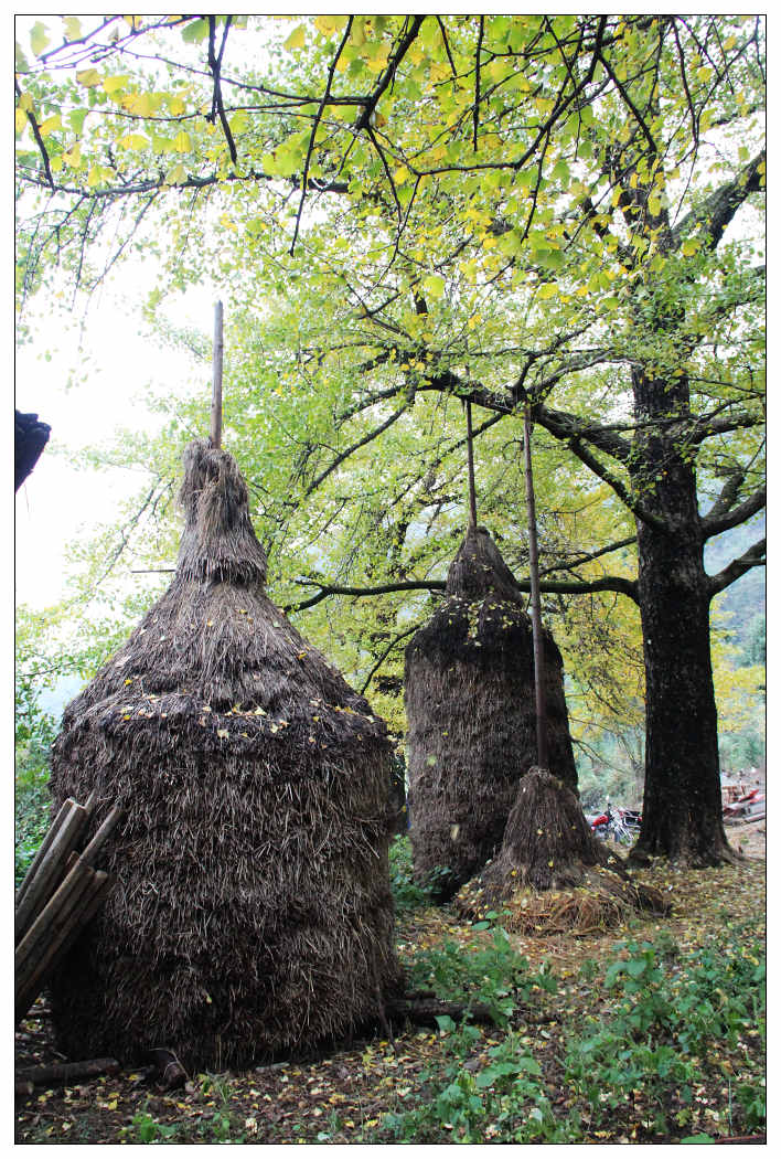 ��Ƭ 303_nEO_IMG.jpg