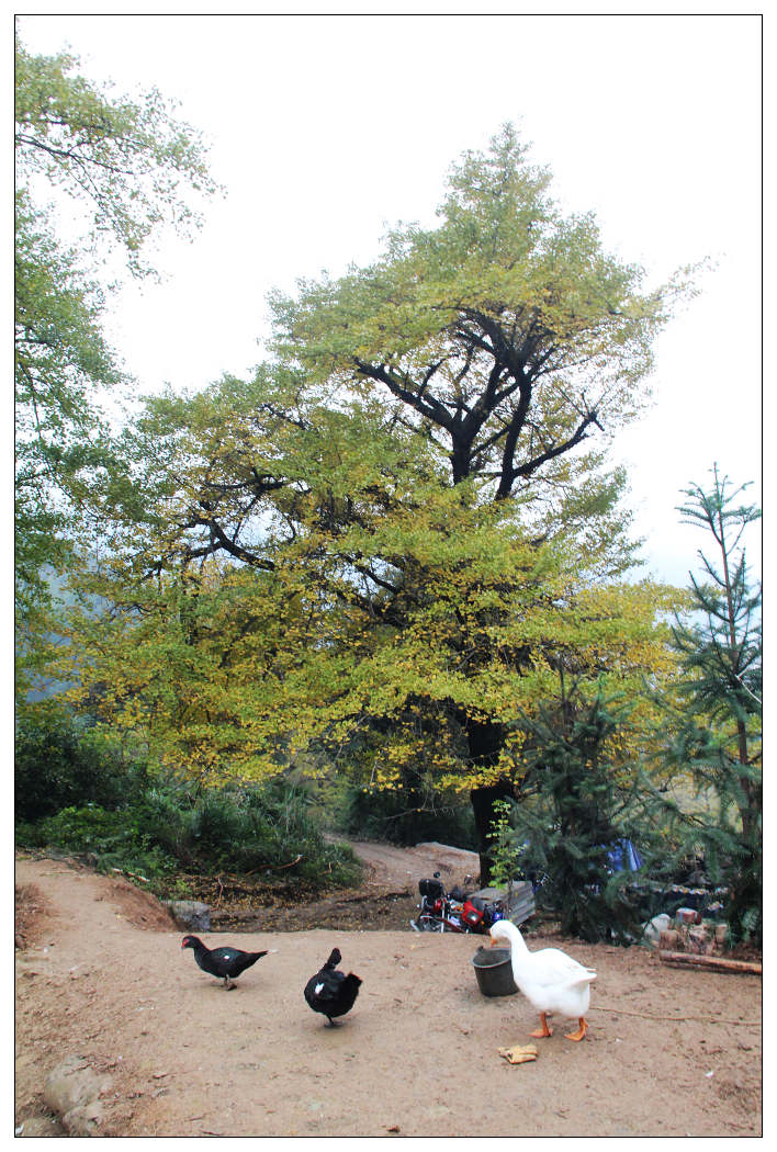 ��Ƭ 290_nEO_IMG.jpg