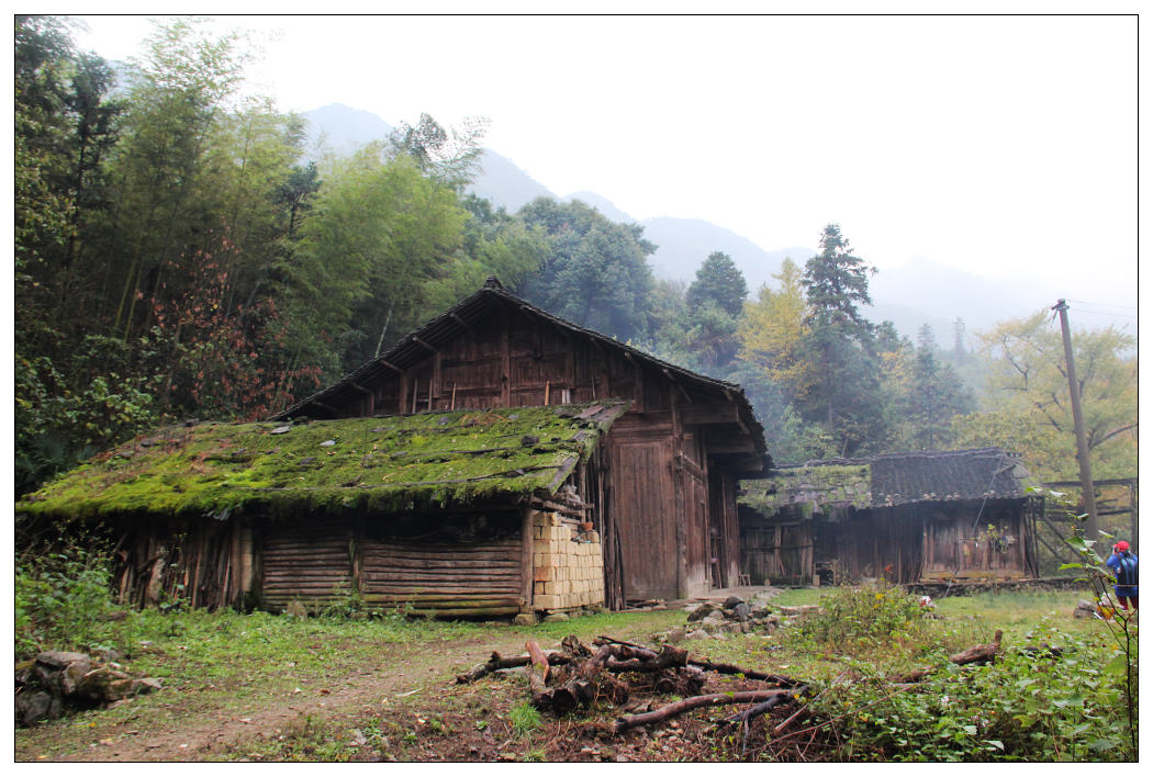 ��Ƭ 312_nEO_IMG.jpg