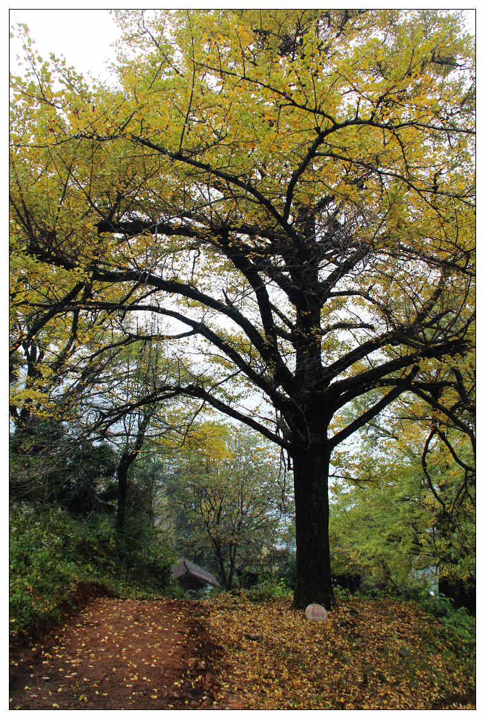 ��Ƭ 342_nEO_IMG.jpg