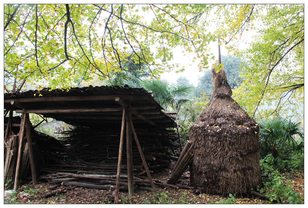 ��Ƭ 345_nEO_IMG.jpg