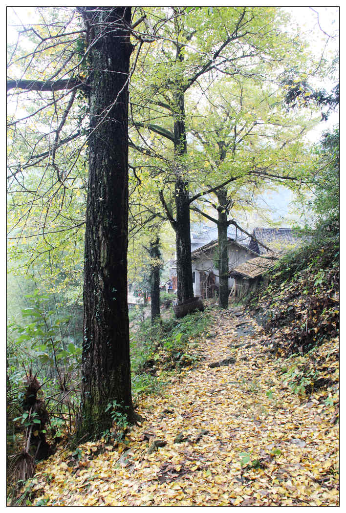 ��Ƭ 352_nEO_IMG.jpg