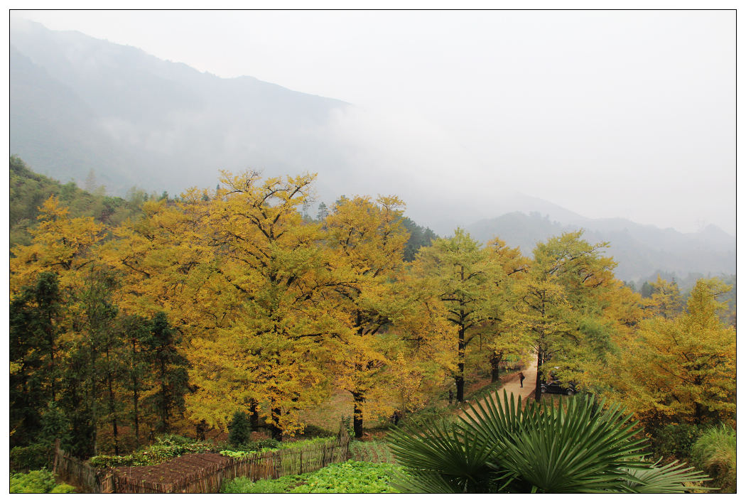 ��Ƭ 356_nEO_IMG.jpg