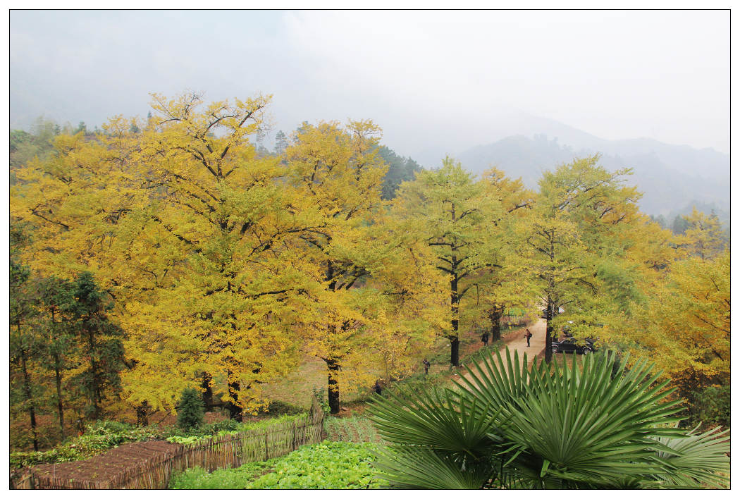 ��Ƭ 357_nEO_IMG.jpg