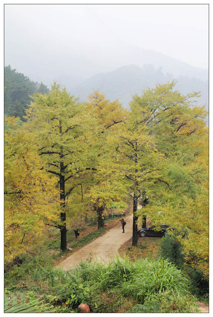 ��Ƭ 358_nEO_IMG.jpg