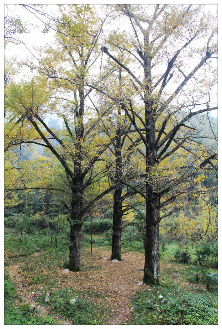 ��Ƭ 369_nEO_IMG.jpg