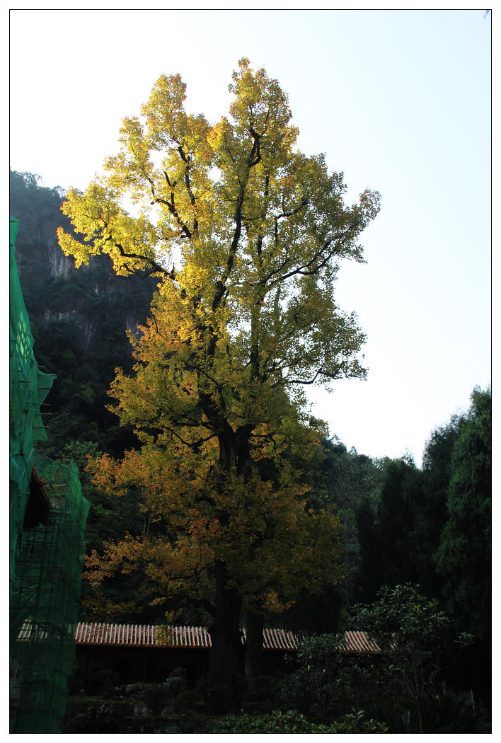 ��Ƭ 391_nEO_IMG.jpg