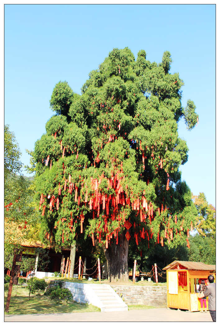 ��Ƭ 396_nEO_IMG.jpg