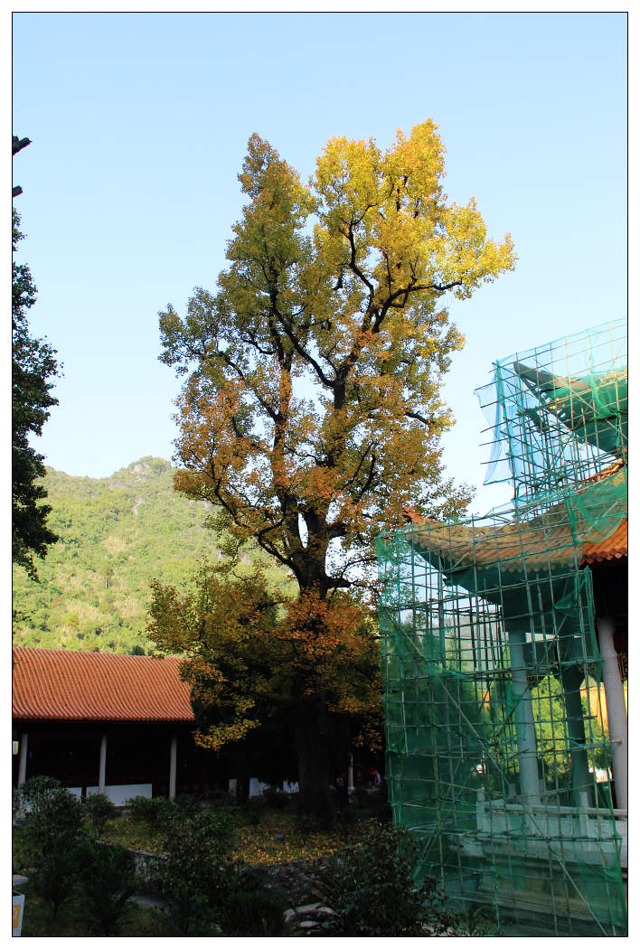 ��Ƭ 398_nEO_IMG.jpg