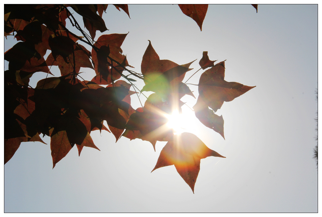 ��Ƭ 401_nEO_IMG.jpg