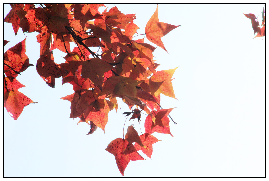 ��Ƭ 405_nEO_IMG.jpg