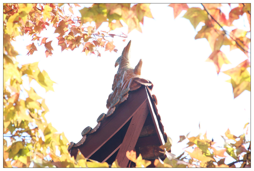 ��Ƭ 409_nEO_IMG.jpg