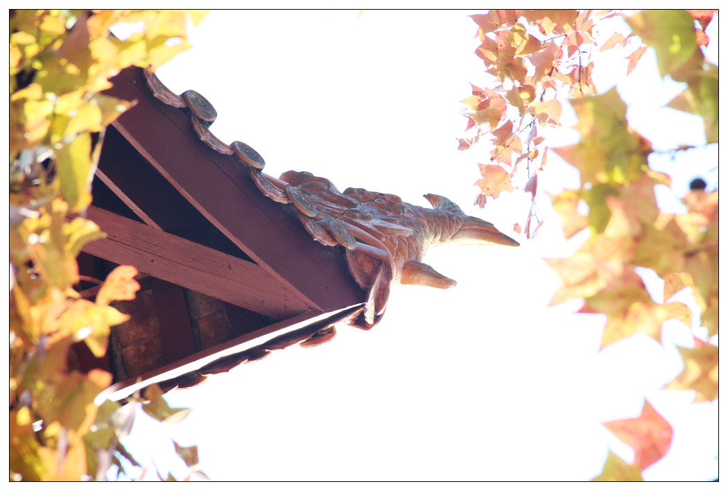 ��Ƭ 410_nEO_IMG.jpg