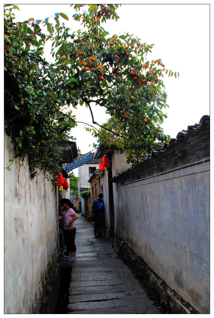 ��Ƭ 705_nEO_IMG.jpg