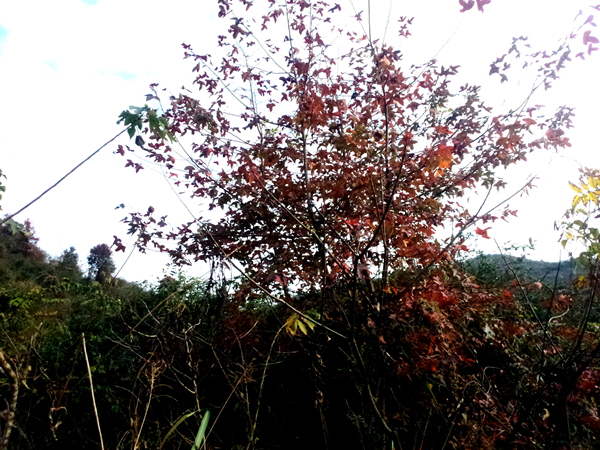 20131130_155930.jpg