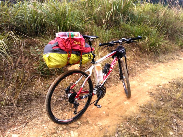 ����Ӳ��,��ͷ̥һ����������