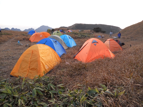 ���ǵ�Ӫ��