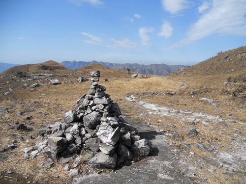 ���ֶ��������