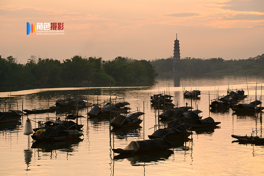 DSC_8131 ����.jpg