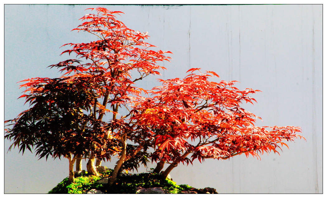 ��Ƭ 1235_nEO_IMG.jpg