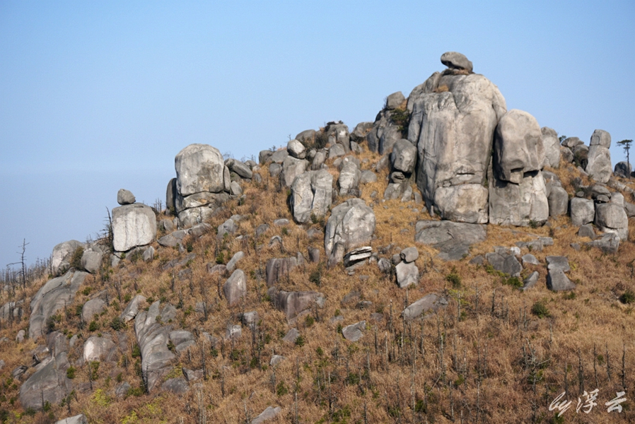 ������ (1)06.jpg