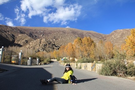 ��һ�����ҷ���ʮ���ɽ����Ϊ��������ֻΪ·��������������