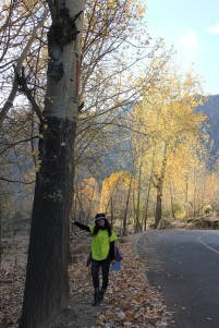 ��ɽ�����ӣ�