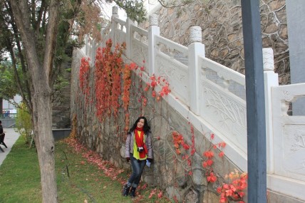 ��ǽ��ֲ���Ƿ��������