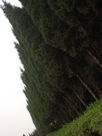 �ػ������Χ��һ�㵼��ֻ����ο����Ա�תһ�¡�