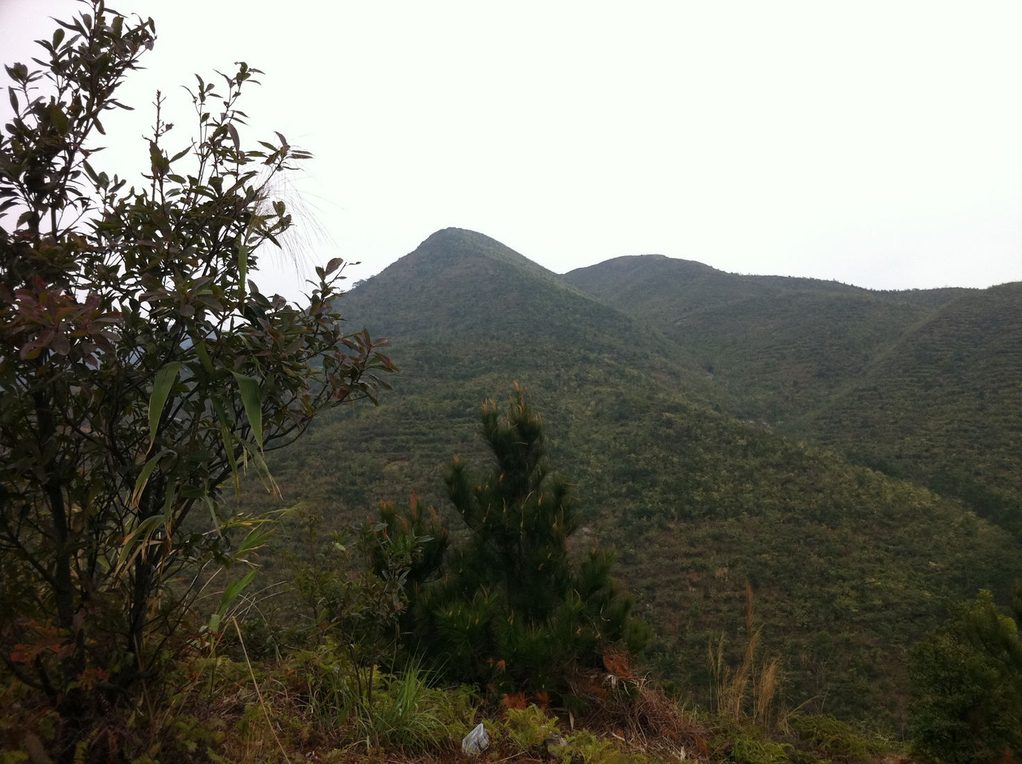 ��������ɽͷ�����ָ�������