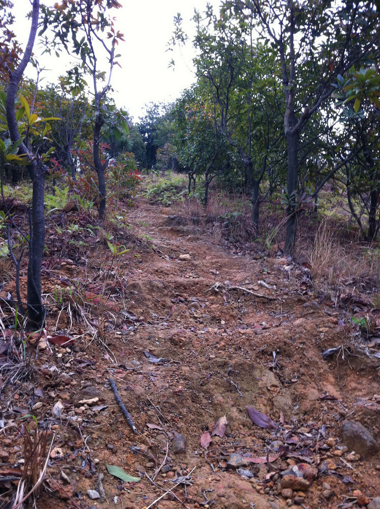 ��ʼ�е�����