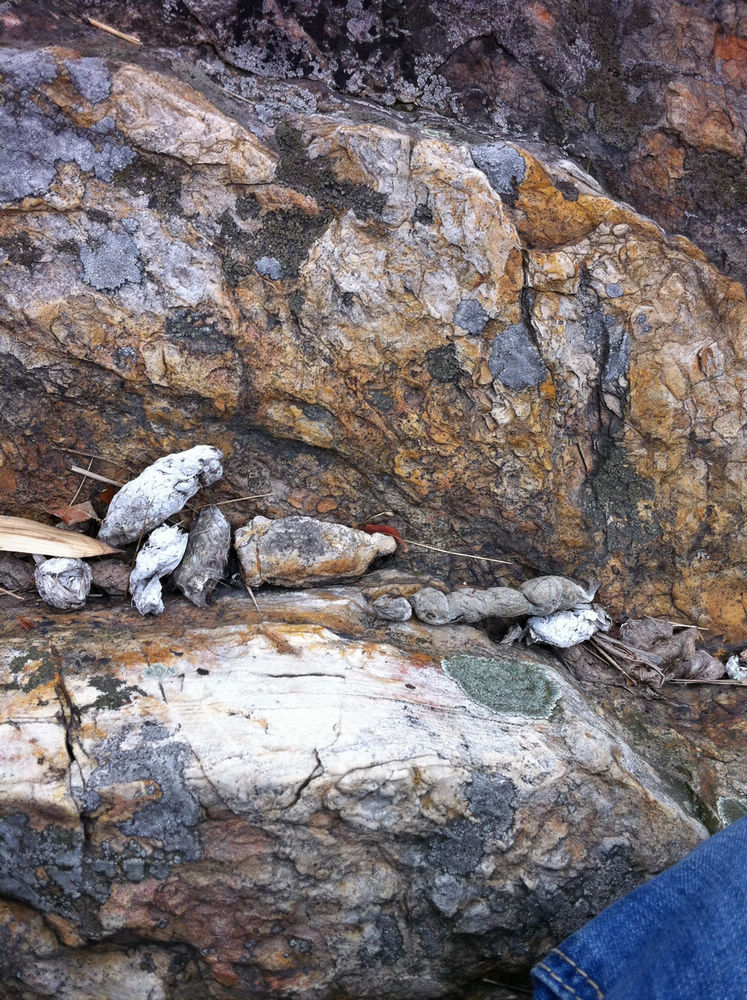 ��������ķ��