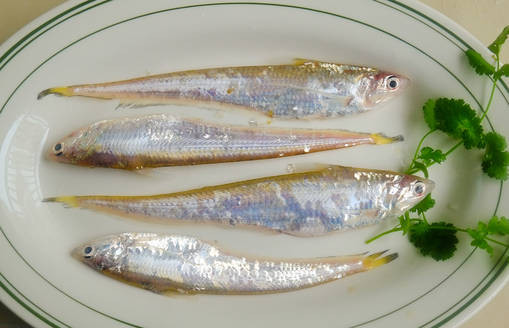 �ӿ� 2 DSCF8115.jpg