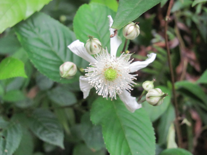 ����������