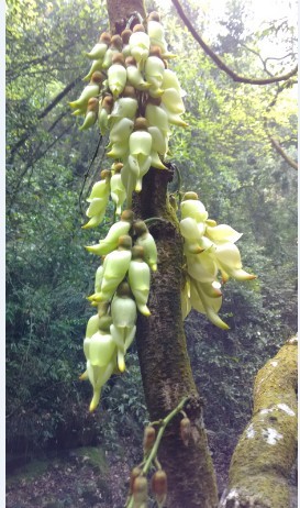 �������˺�ȸ��