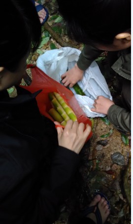 Ů���Ƕ���Ŭ��