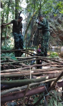 ���׺͹�������������