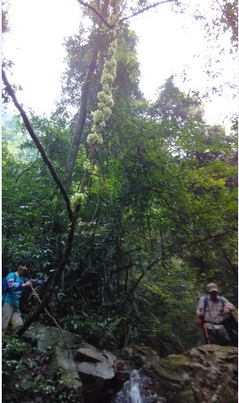 һ·�϶��Ƿ�ɽ��ˮ