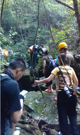 һ·�϶��Ƿ�ɽ��ˮ`��������һ�����߱����ֻ�~