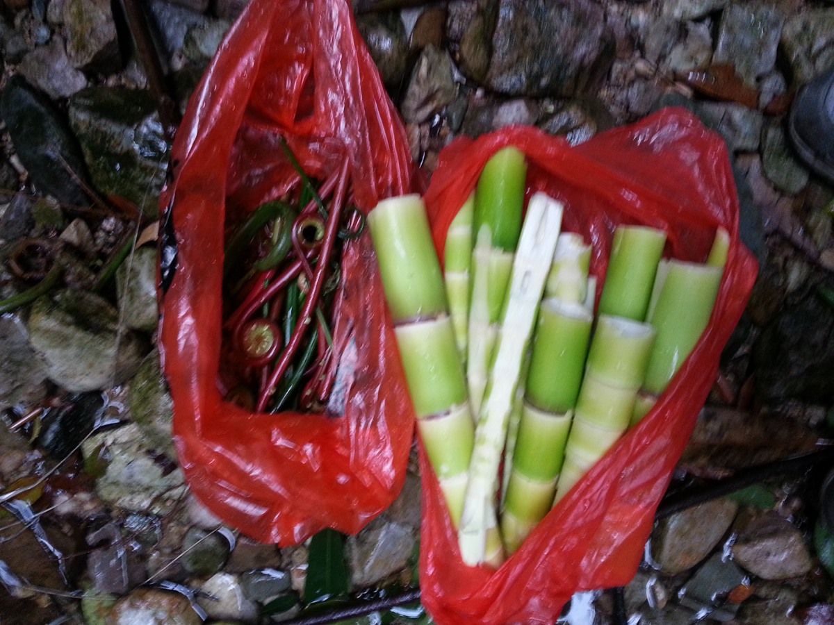 ���ײ�ժ�����������ާ�� 