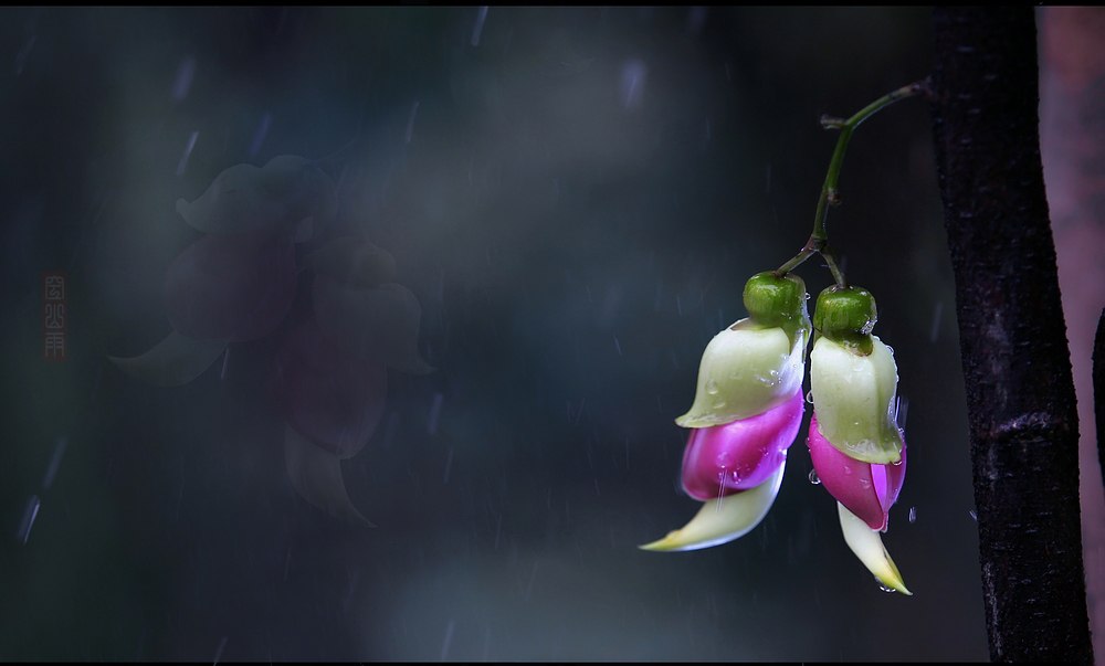 С޲   ʱ13509252000.jpg