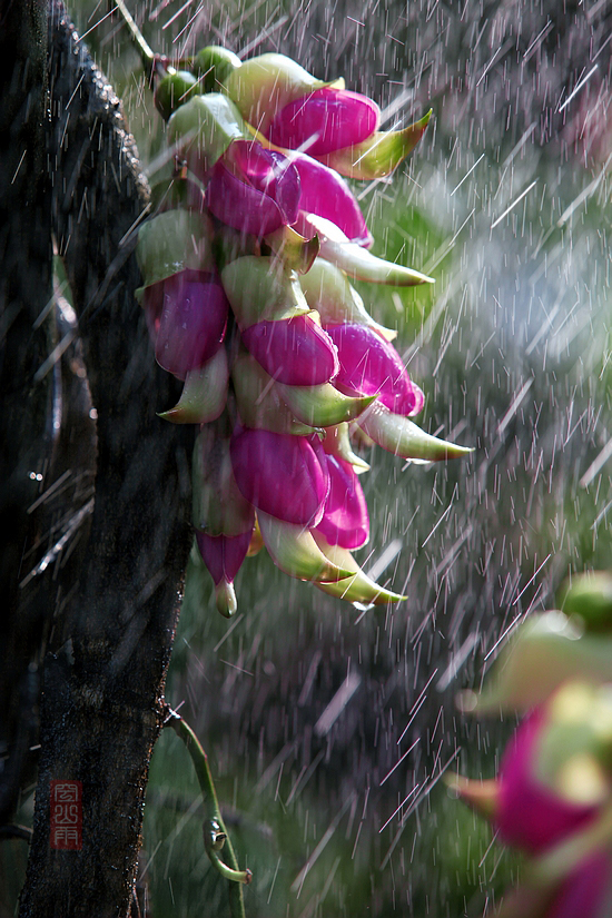 ԡ     ʱ13509252000.JPG