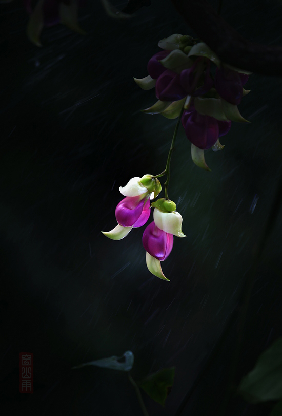 ȸ    ʱ13509252000.jpg